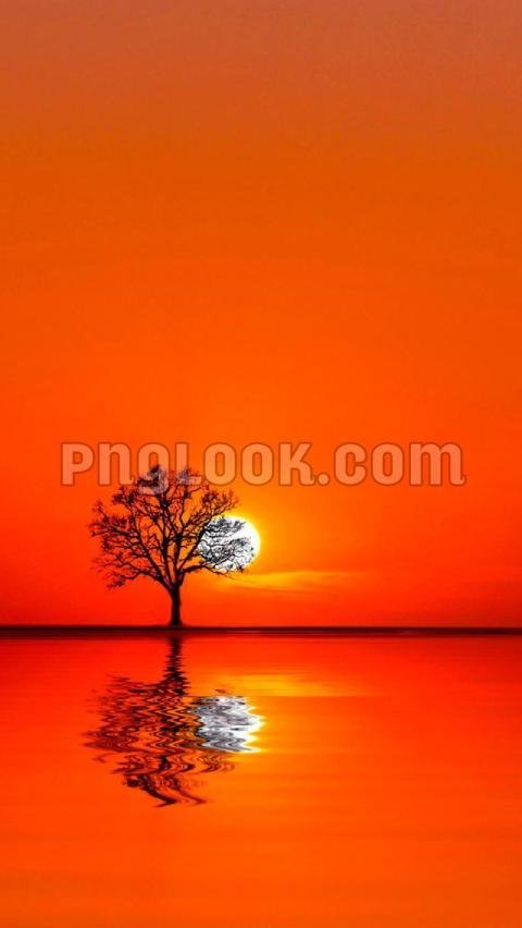 Beautiful sunset wallpaper background image download