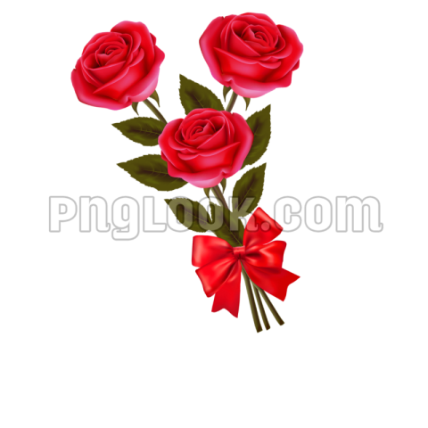 flowers png images DOWNLOAD FREE