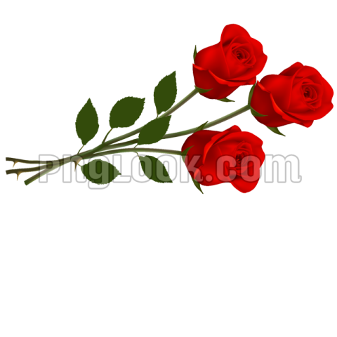 flowers png images download