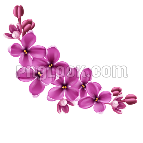 Png flowers png images download