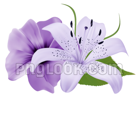 Flowers png hd images download