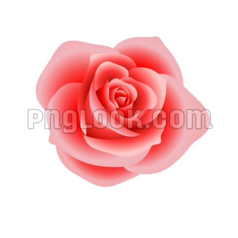 Flowers png hd images download