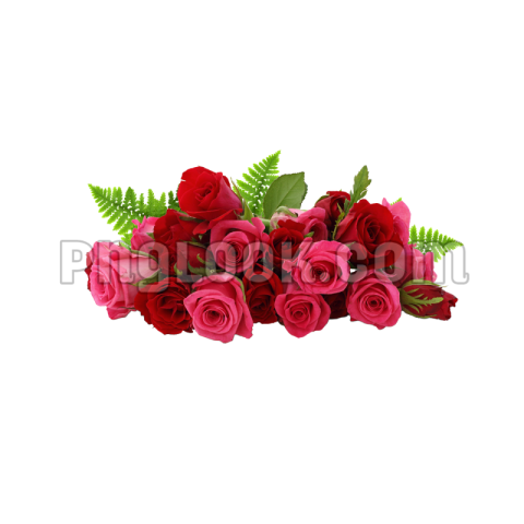 Flowers png hd images download full hd