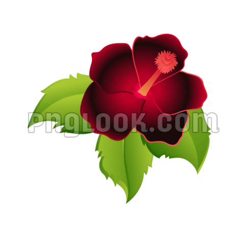 Flowers png hd images download FREE