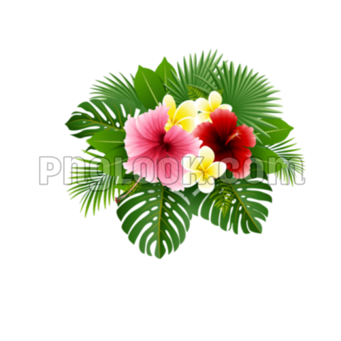 HD FLOWERS PNG IMAGES DOWNLOAD FREE
