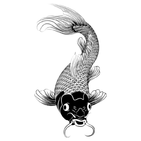 Japanese Koi fish image tattoo artist