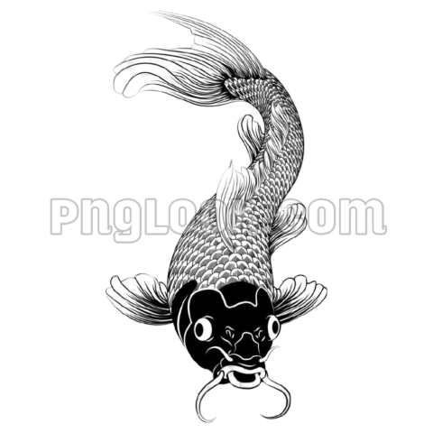 Japanese Koi fish image tattoo artist