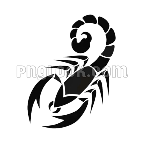 Scorpion tattoo image